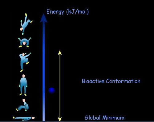 Konformacja bioaktywna