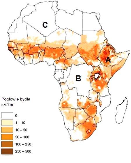 Zadanie 19 (3 p.) Mapa przedstawia pogłowie bydła w Afryce. Korzystając z niej wykonaj poniższe zadanie.