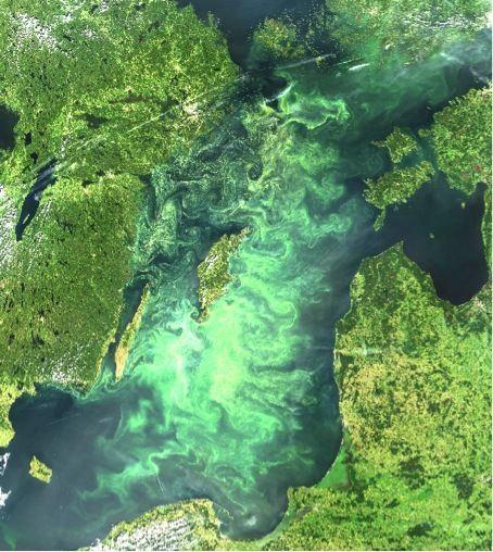 Gospodarka wodami śródlądowymi może znacząco wpłynąć na stan Bałtyku ->