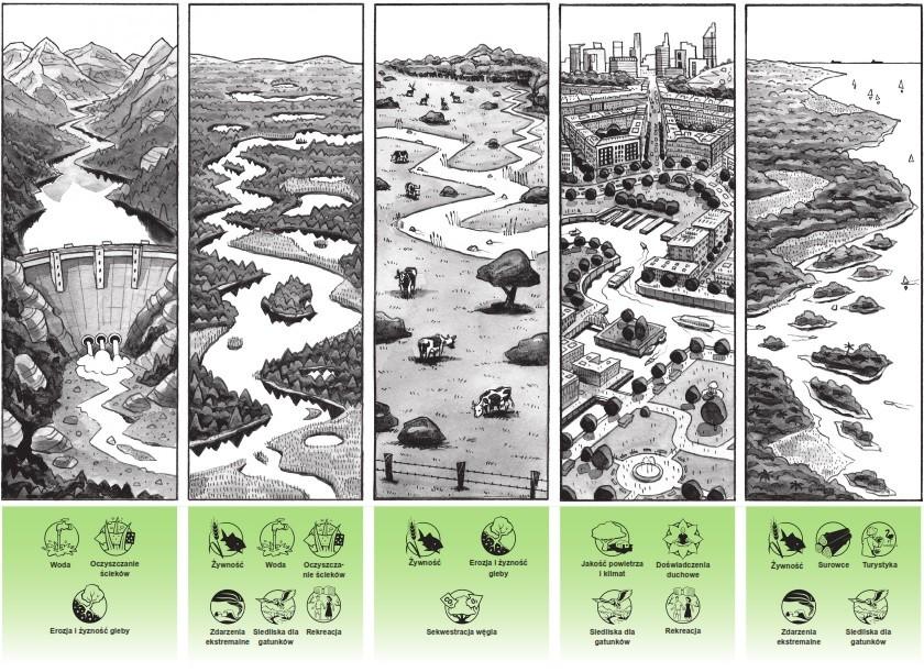 Usługi ekosystemowe świadczone przez różne krajobrazy ekosystemów wodnych.