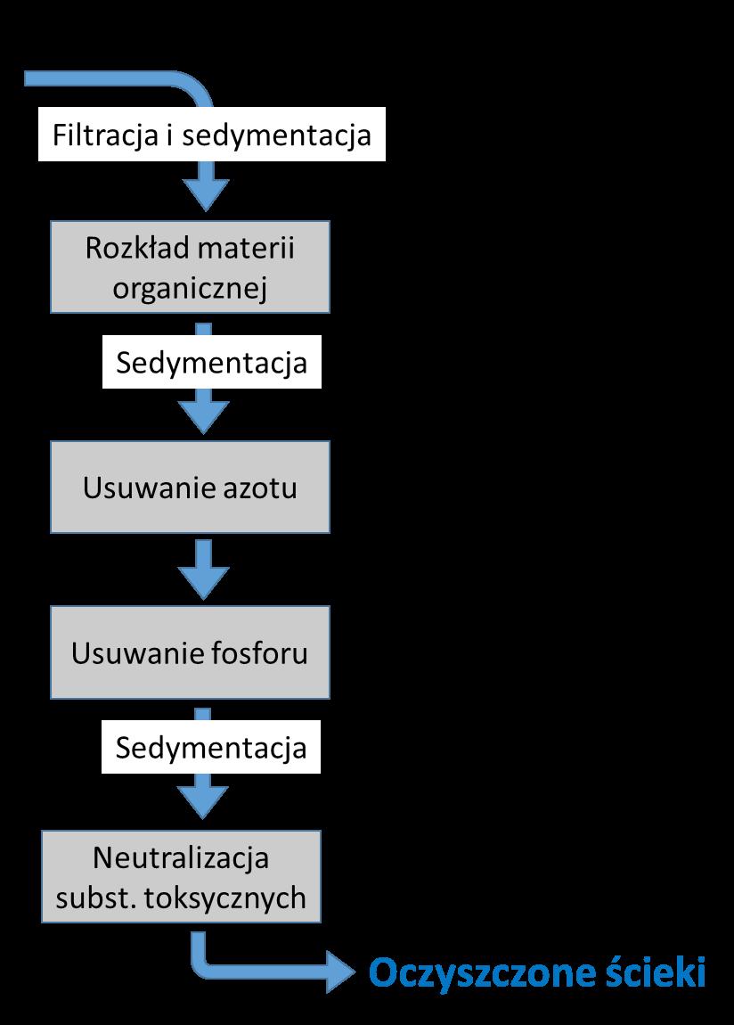 drożności ekologicznej (wędrówki ryb, dryf