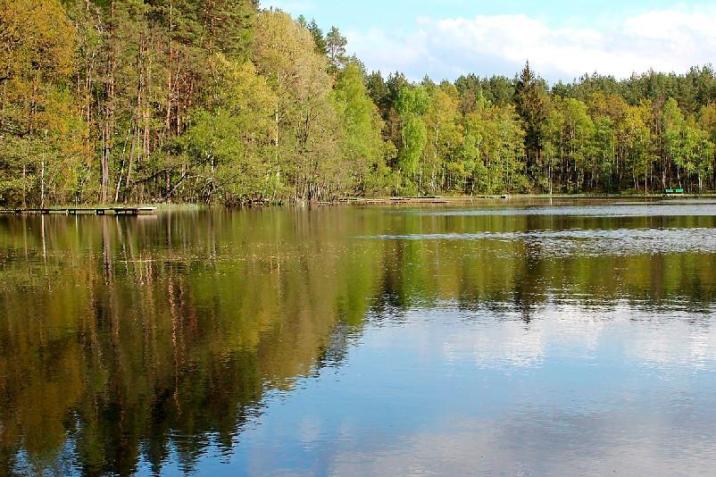 Fot. 1. Jezioro Polnickie, źródło: autor Fot. 2. Zdjęcie satelitarne jez. Polnickiego, źródło: http://maps.google.