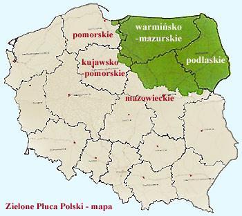 Ochrona przyrody Na terenie gminy znajdują się cztery rezerwaty przyrody: Jezioro Karaś", Kociołek", Łabędź" i Uroczysko Piotrowice 2. Jezioro Karaś objęte jest ochroną Natura 2000.