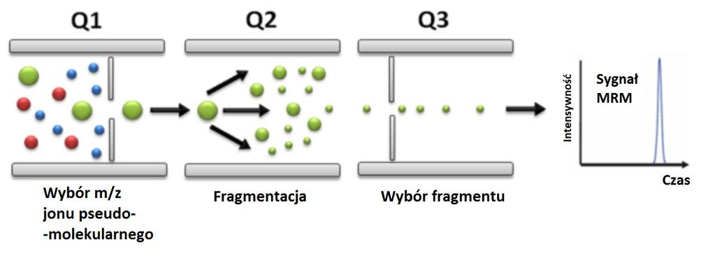 trzech kwadrupoli (układ tandemowy), z których środkowy pełni role komory zderzeń. W komorze tej może dojść do fragmentacji cząsteczki.