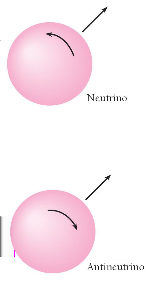 Symetrie P - parzystość (r r) łamana w oddziaływaniach słabych obserwowane neutrina sa tylko prawoskrętne a antyneutrina lewoskrętne neutrina o przeciwnej skrętności -