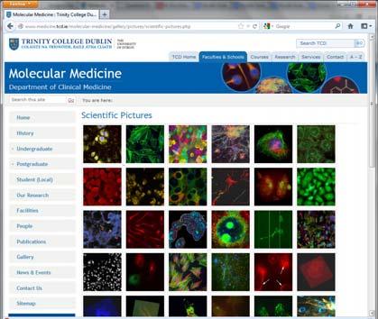 htt://www.medicine.tcd.ie/molecular medicine/gallery/icture/cientific icture.