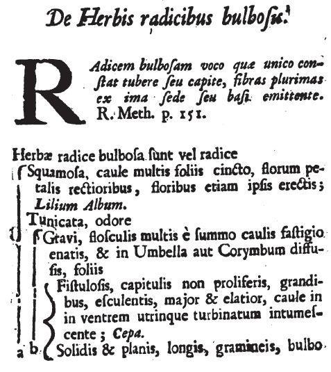 Klucze klamrowe zaczęto stosować także w mniejszych dziełach, np. w monografiach poszczególnych surowców leczniczych, jakie publikowano od przełomu XVII i XVIII w.