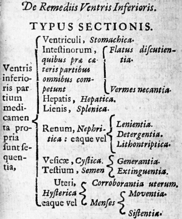 SCHRÖDER 1655 w rozdziale o roślinach leczniczych pt. Phytologia wyróżnia zaledwie: Classis I. De alterantibus primariis, quae sunt: Plantae, harumque membra, i.e. radices, folia, semina, cortices etc.