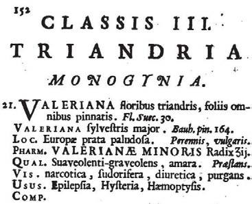 np. u BERGIUS 1782, SCHAEFFER 1784, SCHÖPF 1787, rozprzestrzenił się na materię toksykologiczną (PUIHN 1785), chirurgiczną (PLENCK 1782), zoologię farmaceutyczną (FENZL 1834) a nawet znalazł