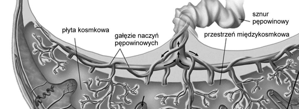 łożyskowych 1.