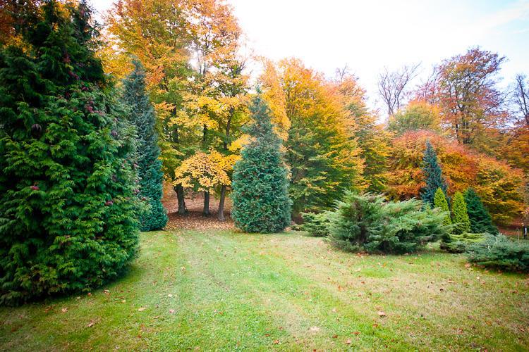 obserwowano co najmniej 56 gatunków ptaków