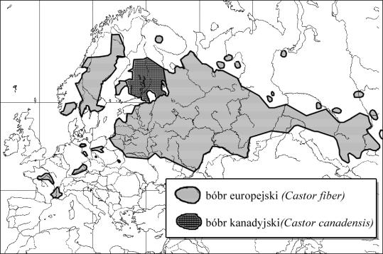 Europie z wyjątkiem Wielkiej Brytanii, Włoch, Półwyspu Iberyjskiego, w Azji na terytorium Rosji i nielicznie w Mongolii i