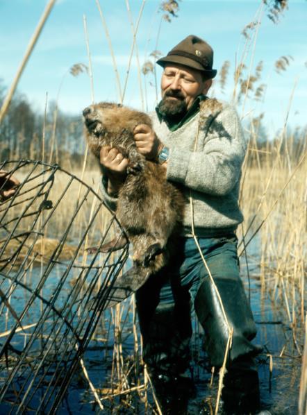 Wirgiliusz Żurowski ze Stacji Badawczej PAN w Popielnie w 1976 r.