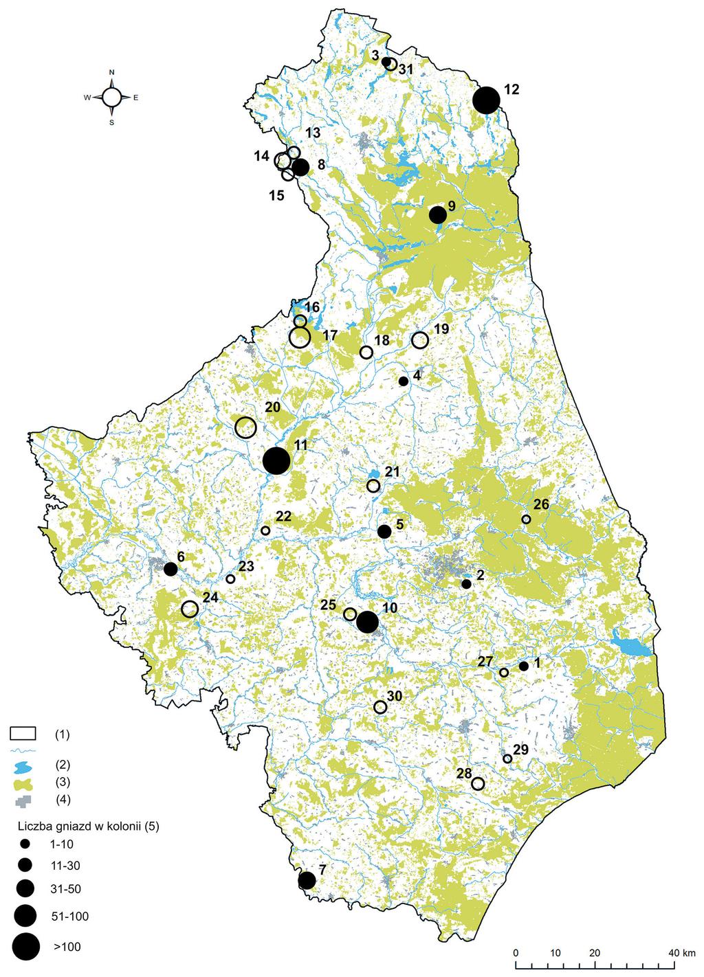 Rys. 1. Rozmieszczenie kolonii czapli siwej w województwie podlaskim w latach 1980 2015. Puste okręgi oznaczają kolonie nieistniejące w roku 2015.