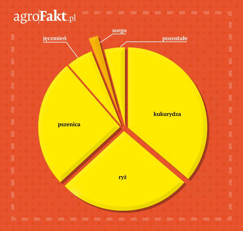 .pl https://www..pl Rys. 1. Struktura produkcji zbóż w świecie (FAOSTAT 2014).