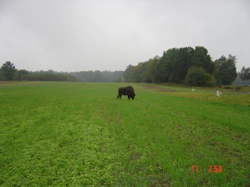 - 29 rolników (71,80 ha); 2012 r. - 44 rolników (107,25 ha); 2013 r.