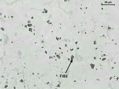 Microstructure of composites: Al+TiC5%, Al+TiC10%, mag. 500x TABELA 1.