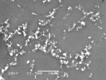 5. Scanning micrographs of the composites: DURALCAN10%SiC, Al+TiC10%, mag.