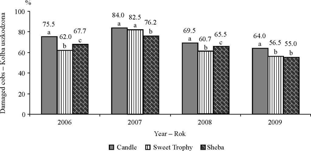 10 P.K. Bereś The percentage of damaged cobs was also lower, and on average for the three studied hybrids it was 68.4 in 2006, 80.9 in 2007, 65.2 in 2008 and 58.5 in 2009 (Fig. 4).