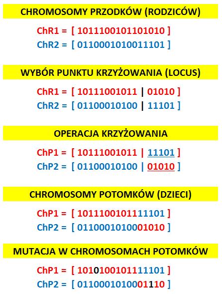 ALGORYTMY GENETYCZNE krzyżowanie i mutacja PRZYKŁAD: W chromosomach przodków (rodziców) losowany jest punkt