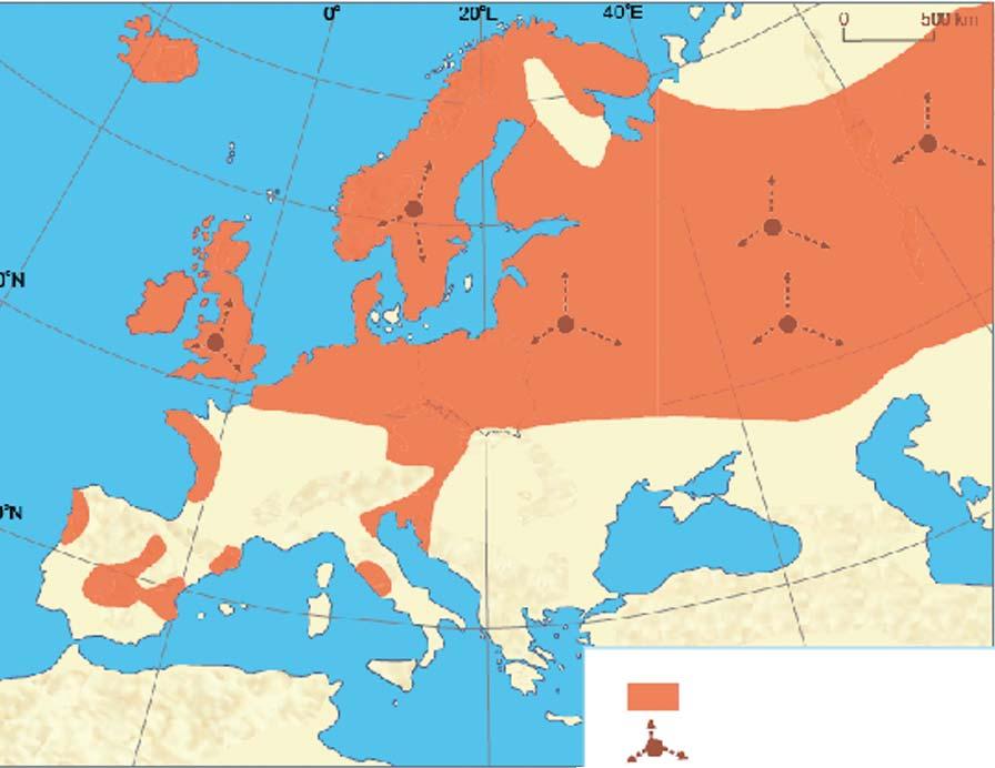 [1992]) na początku XX wieku (ostatnią norkę europejską widziano na Warmii w 1926 roku), a w drugiej połowie XX wieku jej miejsce zajęła norka amerykańska.