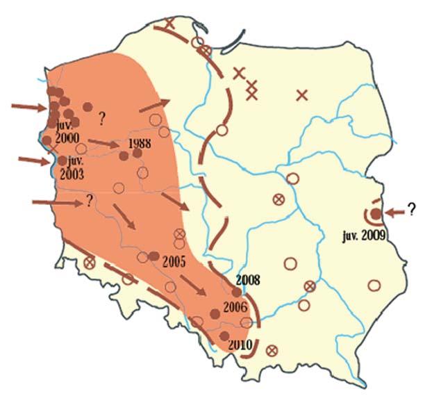 Ryc. 9. Rozmieszczenie szopa pracza w Polsce Źródło: Głowaciński [2011]. [2011]).