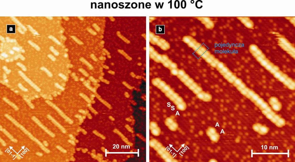 1. a) Submonowarstwa molekuł PTCDA naniesionych w temperaturze pokojowej.