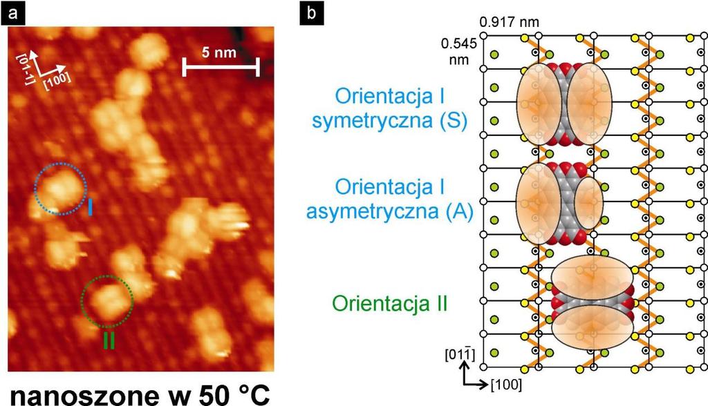 w konfiguracji II z dłuższą osią prostopadłą do rzędów podłoża. Tym niemniej w temperaturze 80 C łańcuchy molekularne nie są tworzone.