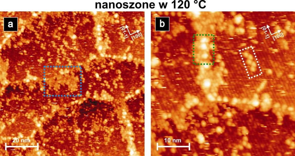 w wąskim oknie temperaturowym. Typowy obraz struktur otrzymanych przy nanoszeniu molekuł w temperaturze 120 C pokazuje rysunek 5.