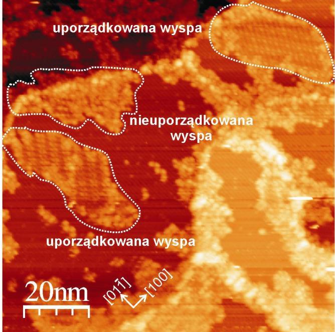 powierzchni tarasów wyróżnić można dwa rodzaje płaskich wysp molekularnych. Pierwszy rodzaj obejmuje uporządkowane struktury występujące w dwóch symetrycznych wersjach.