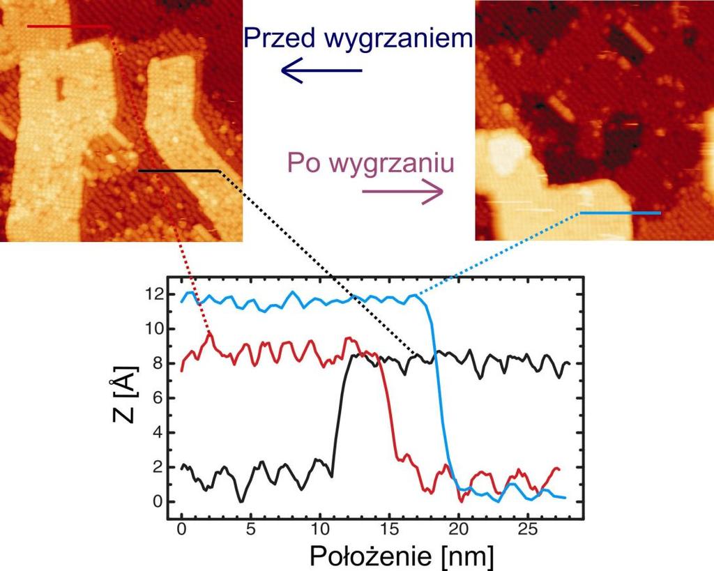 Mierzona mikroskopem STM wysokość wyspy drugiej warstwy molekuł jest przed wygrzewaniem niemal identyczna dla obu faz (fazy I i II) i wynosi około 0.65 nm.