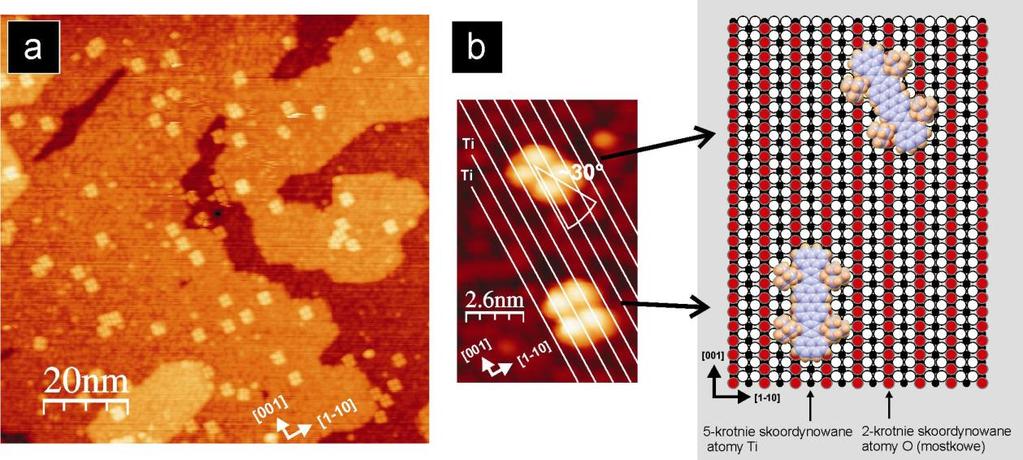 7.1 Uporządkowana adsorpcja molekuł Violet Lander na powierzchni TiO 2 (110) -(1 1) Typowy obraz STM małej ilości molekuł (około 0.