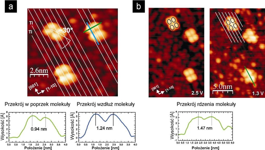 (1.298 nm). W efekcie molekuła po adsorpcji może dość łatwo dopasować swoją konformację do struktury powierzchni.