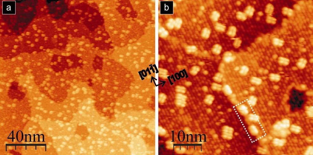 7.2. Molekuły Violet Lander na powierzchni TiO 2 (011)-(2 1) wpływ temperatury podłoża Typowy obraz małej ilości (około 0.