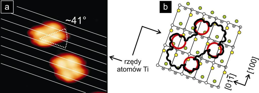 Analizując geometrię adsorpcji molekuły, należy uwzględnić spore możliwości adaptacji jej konformacji do struktury podłoża, głównie wynikające z możliwości obrotu i ugięcia nóg, a także porównać