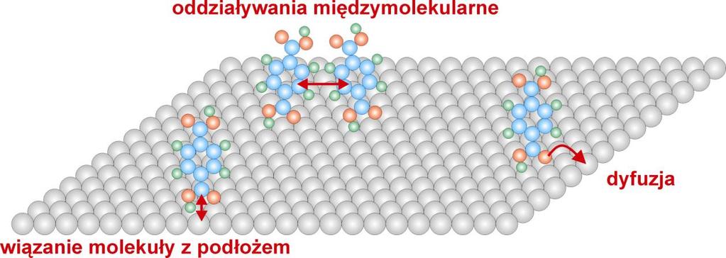 Rysunek 2.4.2. Najistotniejsze oddziaływania i procesy mające związek z samoorganizacją molekuł Rysunek 2.4.3.