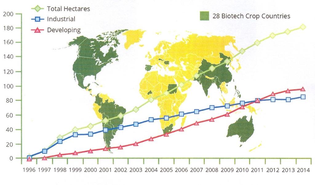 Kraje rozwinięte 28 krajów z uprawami GMO Kraje rozwijające się 87% 2 %