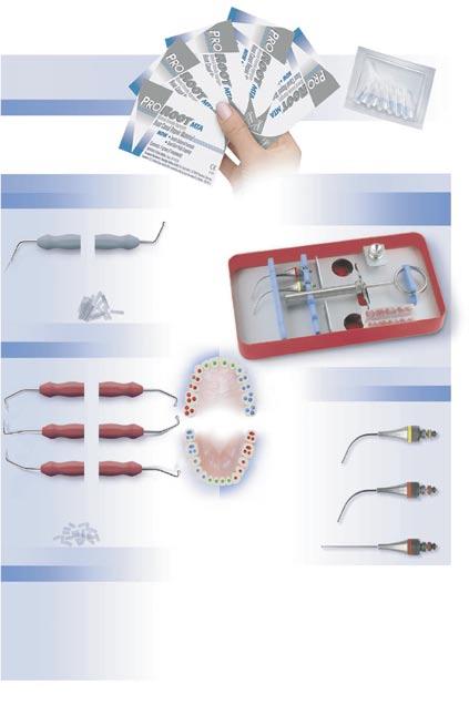 I N S T R U M E N T Y E N D O D O N T Y C Z N E Thermafil System do wypełniania kanałów korzeniowych.