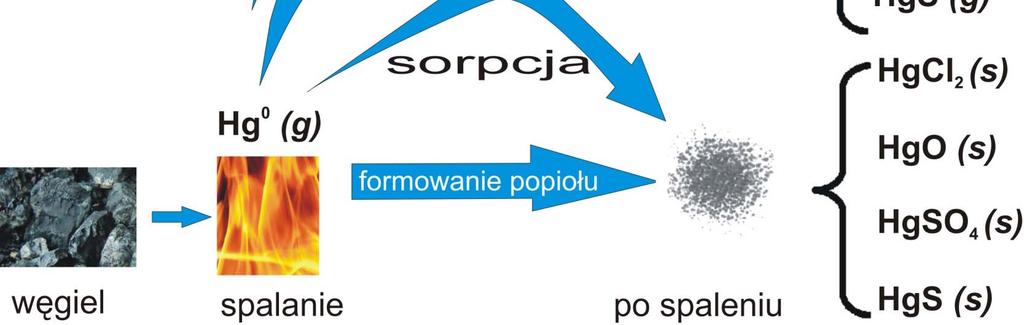 powietrzu od kilku dni do kilku tygodni; łatwo rozpuszczalne w wodzie Hg(p) rtęć związana lub zaadsorbowana na