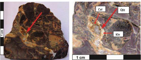 Rys. 2. Diamenty marmaroskie w brekcji syderytowej (okaz udostępniony przez kolekcjonera minerałów Szymona Augustynek). Objaśnienia symboli: Cal kalcyt, Kln kaolinit, Qtz kwarc Fig. 2. Marmarosh diamonds in siderite breccia (fot.