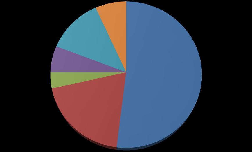 Preferowany przez bezrobotnych wymiar godzin pracy 12% 7% 6% 4% 52%