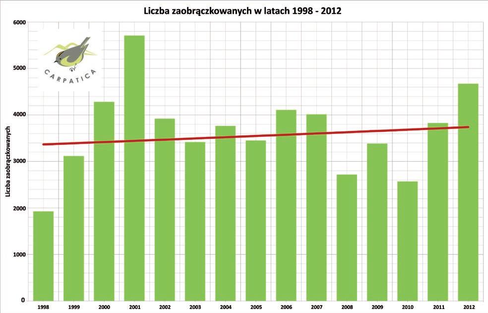 Bogatki łapią się przez cały jesienny sezon w Myscowej, jednak największe jej koncentracje przypadają, według średniej wieloletniej, na 59 pentadę (koniec października). W 2012 r.