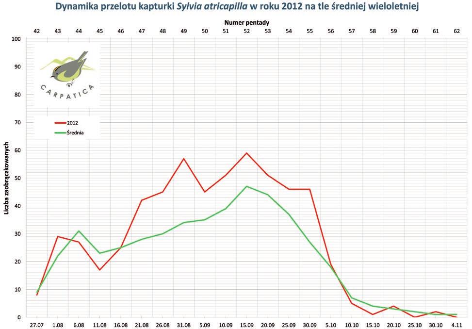 najczęściej obrączkowaliśmy te ptaki w przedostatniej pentadzie sezonu (61) oraz na początku września (pentada 50).