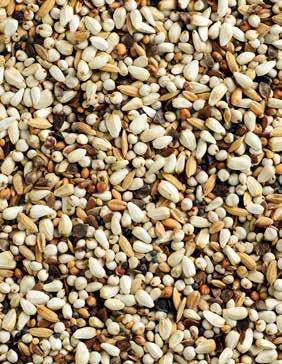 Natural Special Energetyczna Bogata w tłuszcz, jako źródło energii Bogata w tłuszcze i włókno Łatwo strawna Bez jęczmienia 20 KG Nr art.