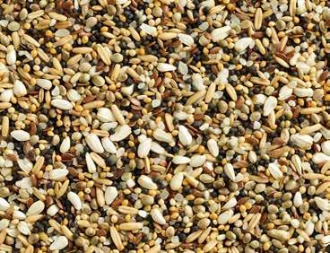 Natural Special Depurative z Ryżem Paddy Lekkostrawna mieszanka, bogata w włókno, stosowana podczas regeneracji i spoczynku Bogata w węglowodany Zawiera 15% sorgo/milo Przywraca równowagę układu