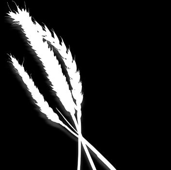 Starannie dobrana kompozycja Natural Nutri Powder sprawia, że produkt ten jest szczególnie przydatny dla uzyskania przez gołębie szczytowej kondycji w trakcie lotów.