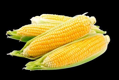 Eksperci Natural są przekonani, że kukurydza Francuska Cribs ma wiele zalet: Wybierane są tylko najlepsze ziarna.