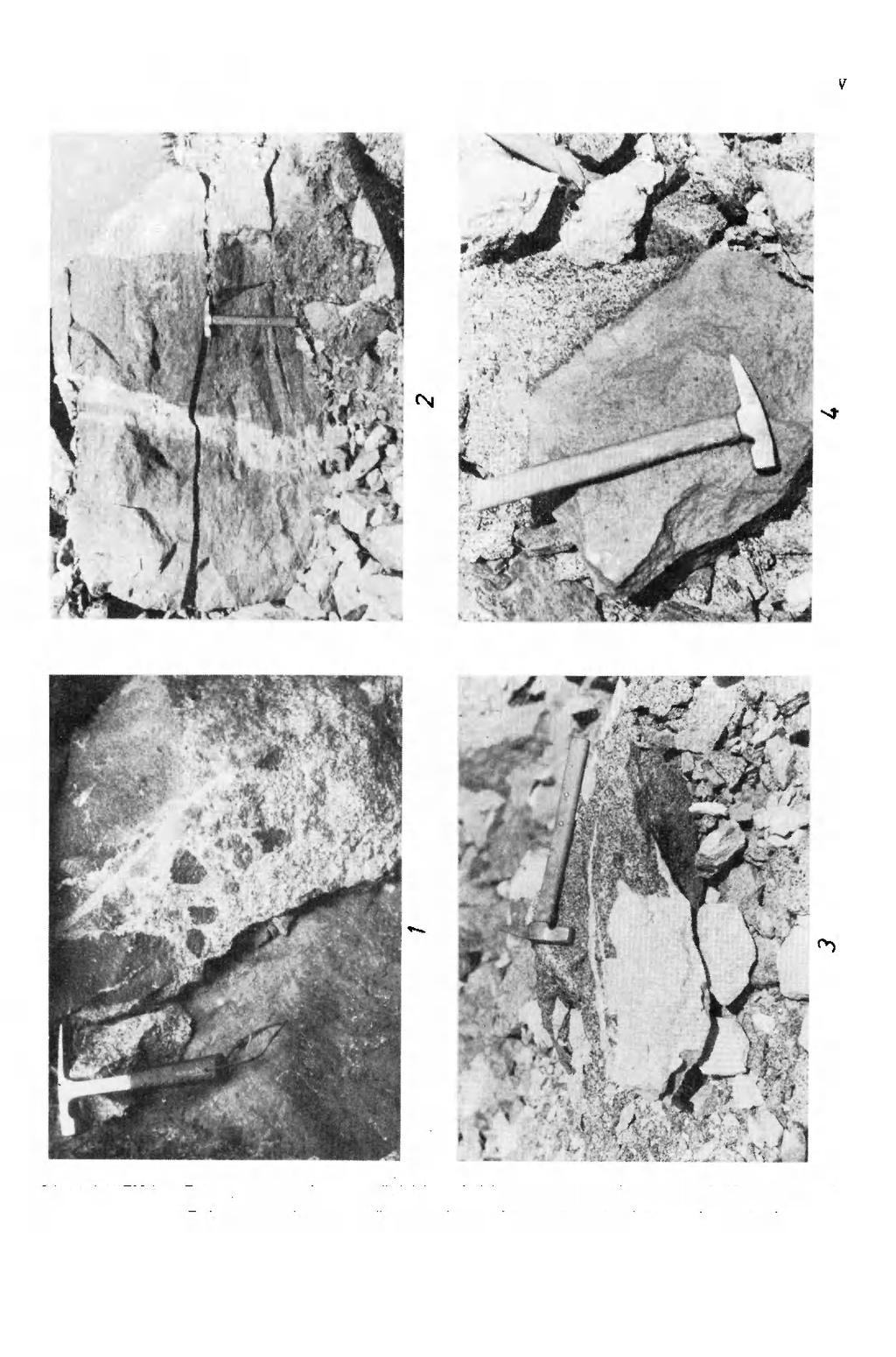 GEOLOGIA SUDETICA, VOL.