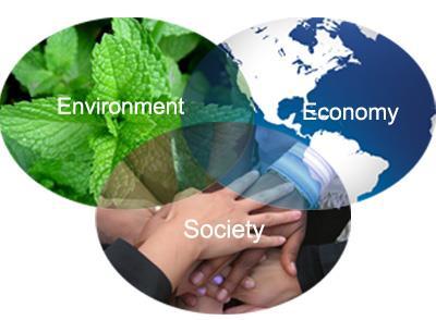 Środowisko Społeczeństwo Ekonomia Zrównoważony rozwój ma na celu doprowadzenie a następnie zachowanie równowagi między trzema