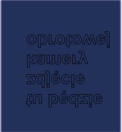 Dzięki zastosowaniu urządzeń transmisyjnych możliwe jest przesyłanie obrazów do serwera www oraz ich archiwizacja.